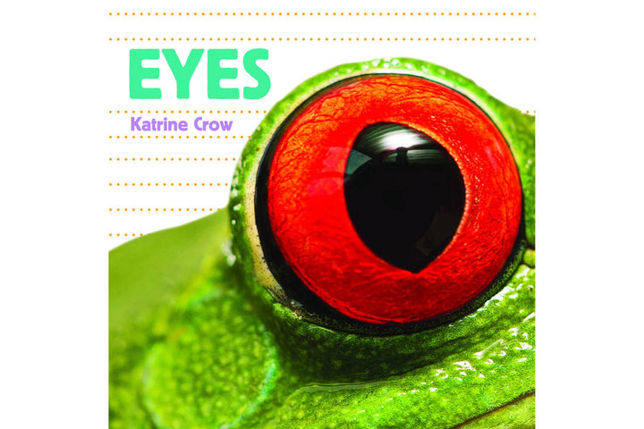 Eyes - Whose is it? (Ages 3-6 Years)