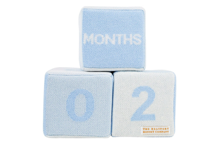 Buckhead Blue Blaylock Blocks by The Beaufort Bonnet Company