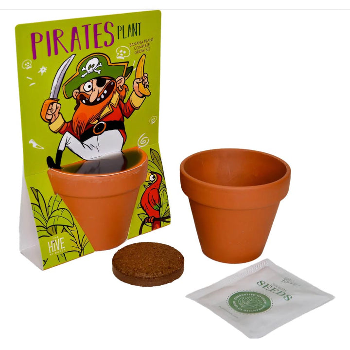 Pirate Plant Grow Kit by Buzzy Inc.