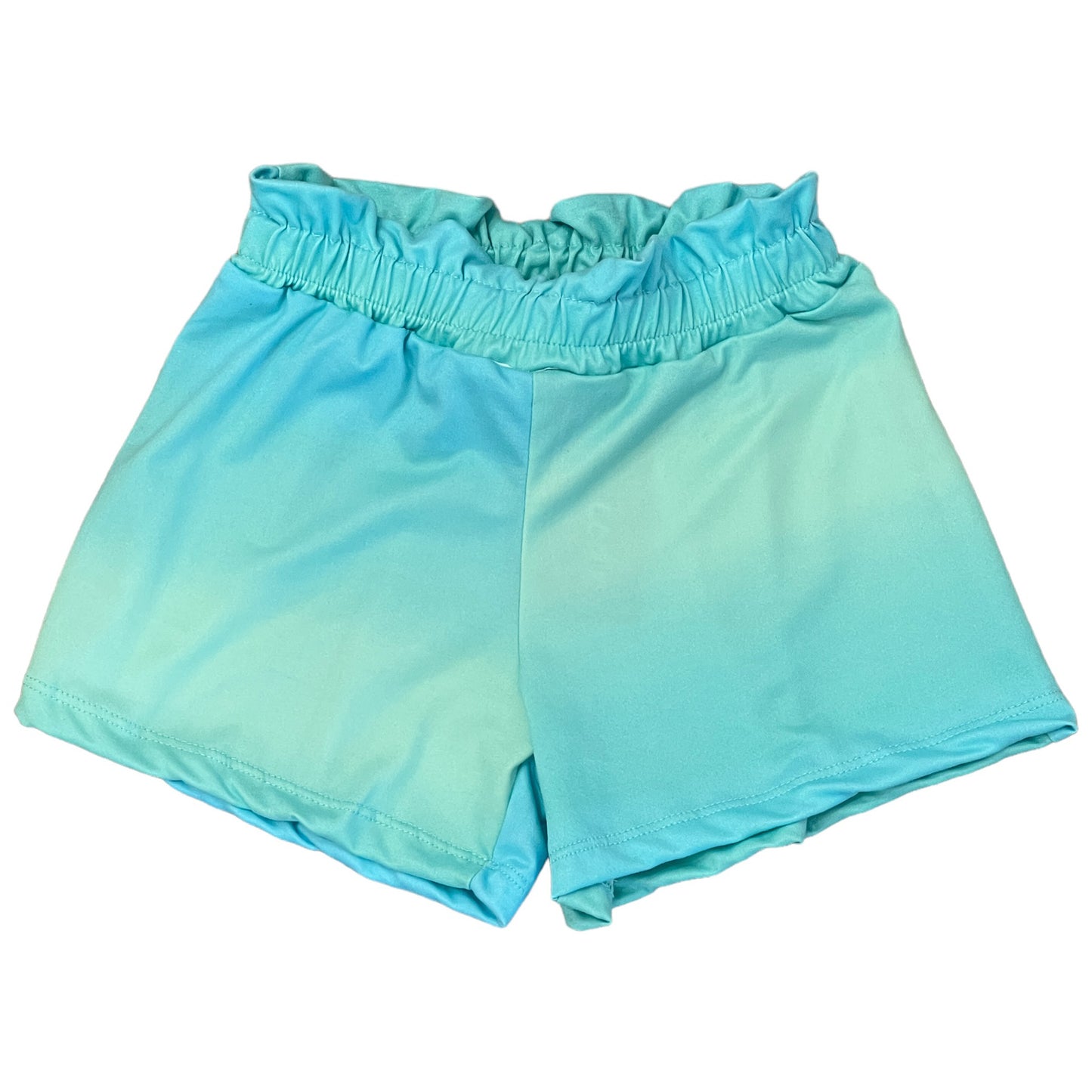 Area Code 407 Aqua Panel Shorts