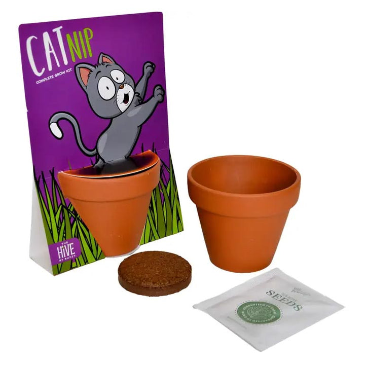 Whimsical Catnip Grow Kit by Buzzy Inc.