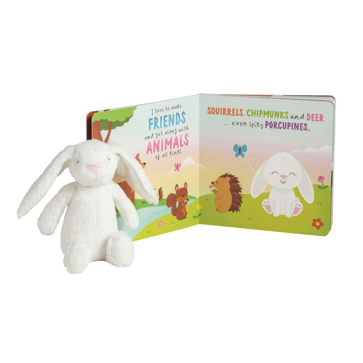 Day in the Life of Sunny the Bunny Book and Plush Set