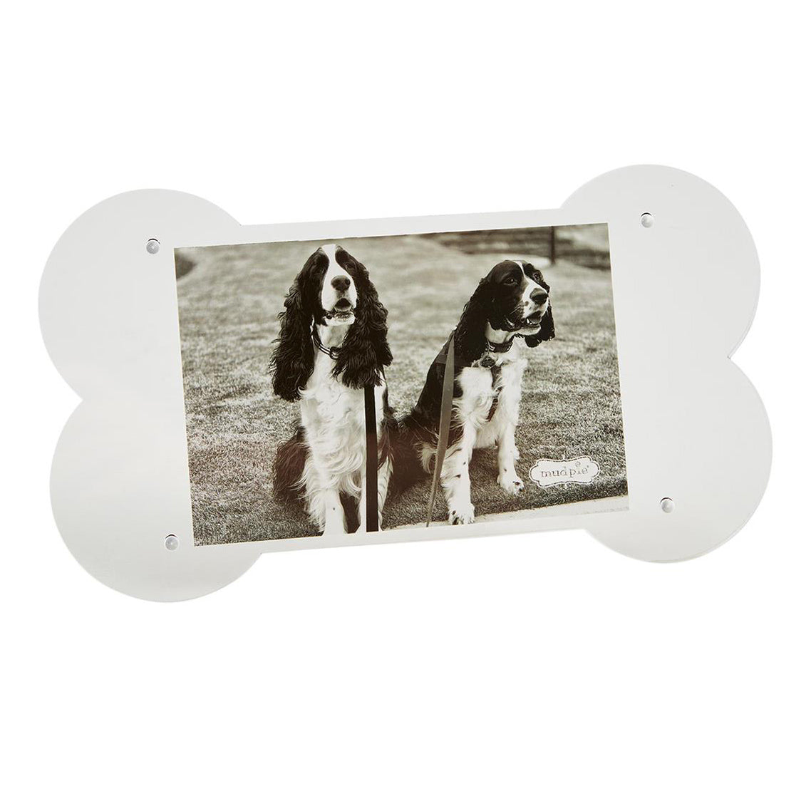 Dog Bone Acrylic Frame