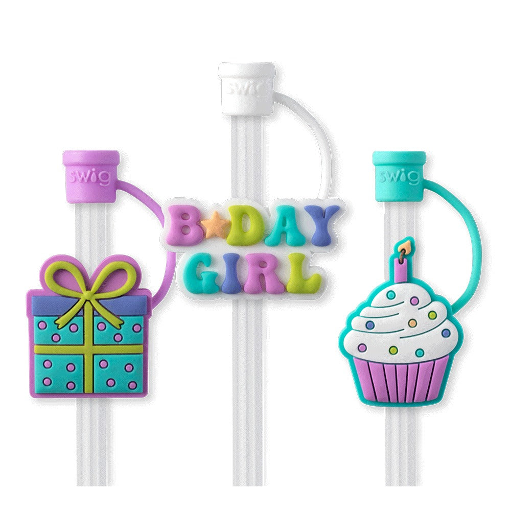 Make a Wish Birthday Straw Topper Set by Swig