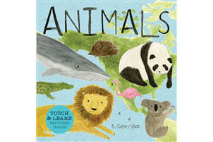 Animals Board Book (Ages 1-3 Years)