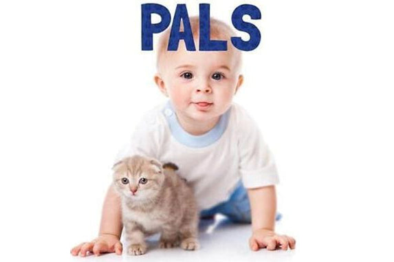 Pals (Board Book)