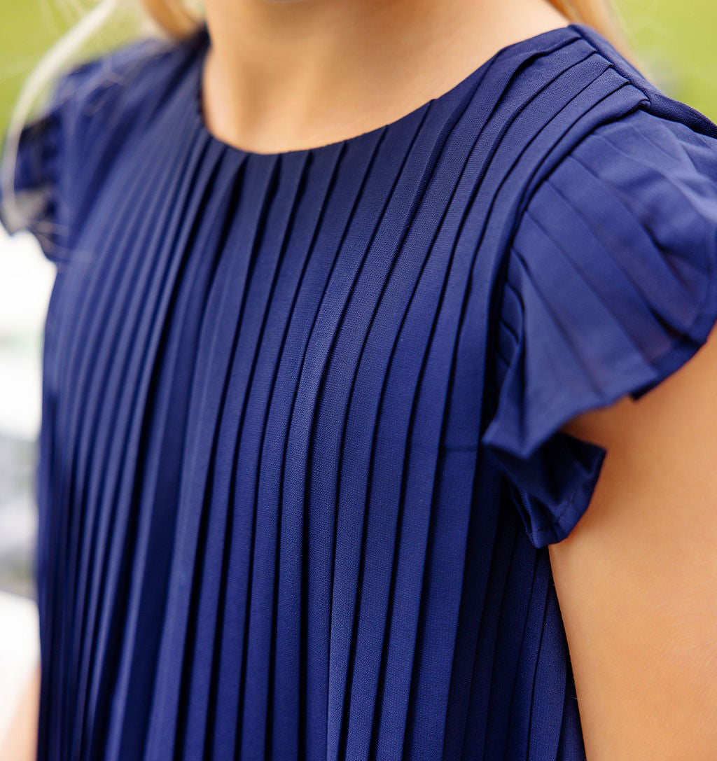 Nantucket Navy Piper Pleated Dress by The Beaufort Bonnet Company