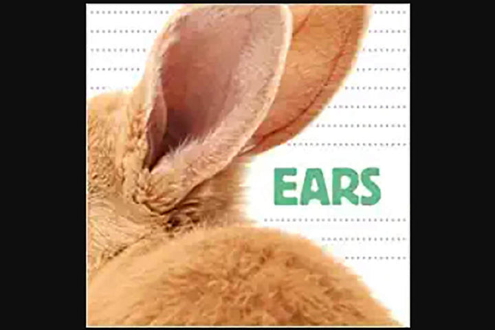 Ears