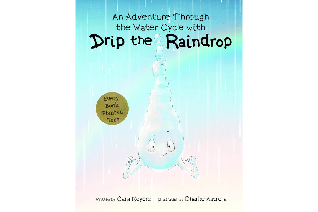 Drip the Raindrop - Picture Book (Ages 5-8 Years)