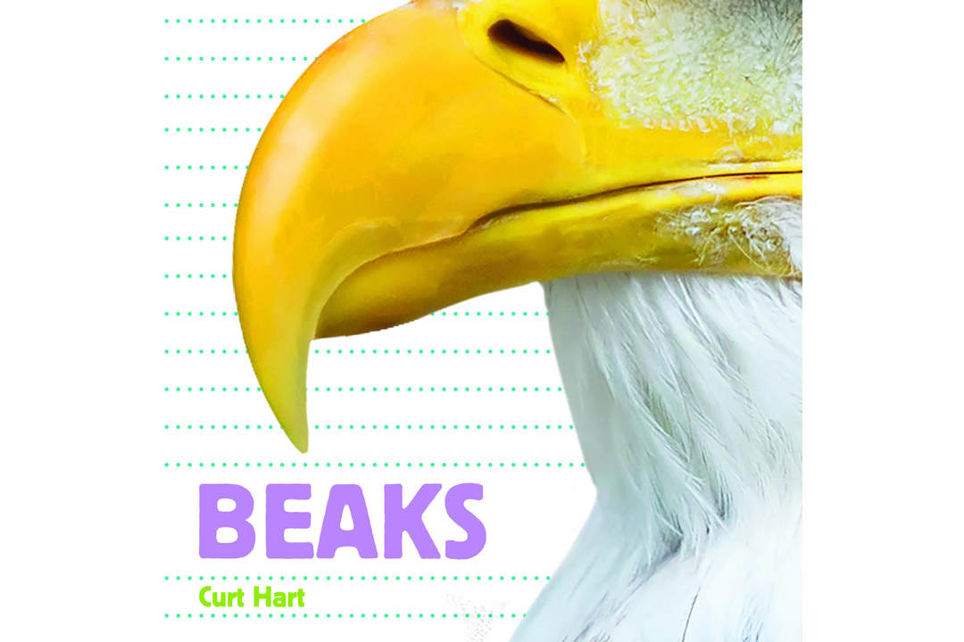 Beaks - Whose is it? (Ages 3-6 Years)