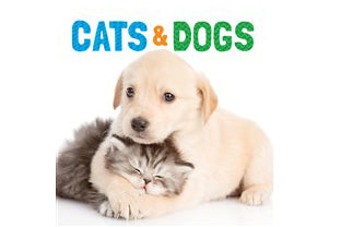Cats & Dogs (Board Book)